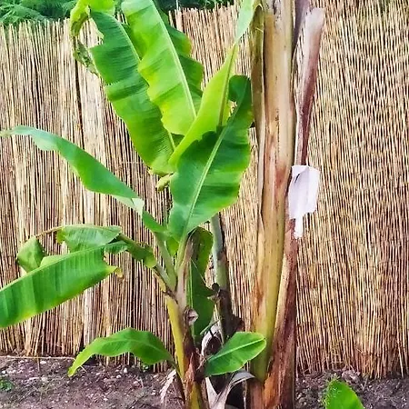 Summer Stories Pool * Potamós