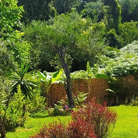 Summer Stories Pool Villa *