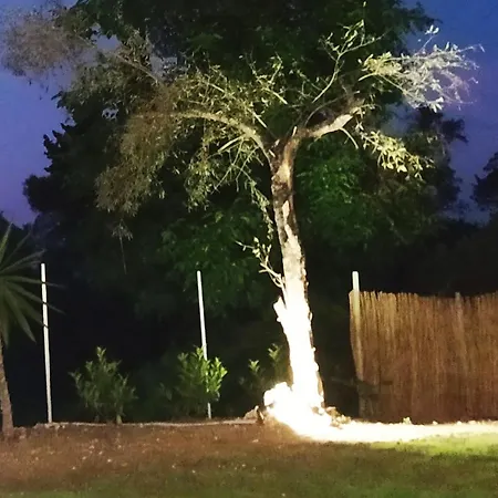 Summer Stories Pool Potamós